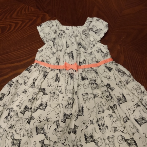 Carter's Other - Little girls drsss